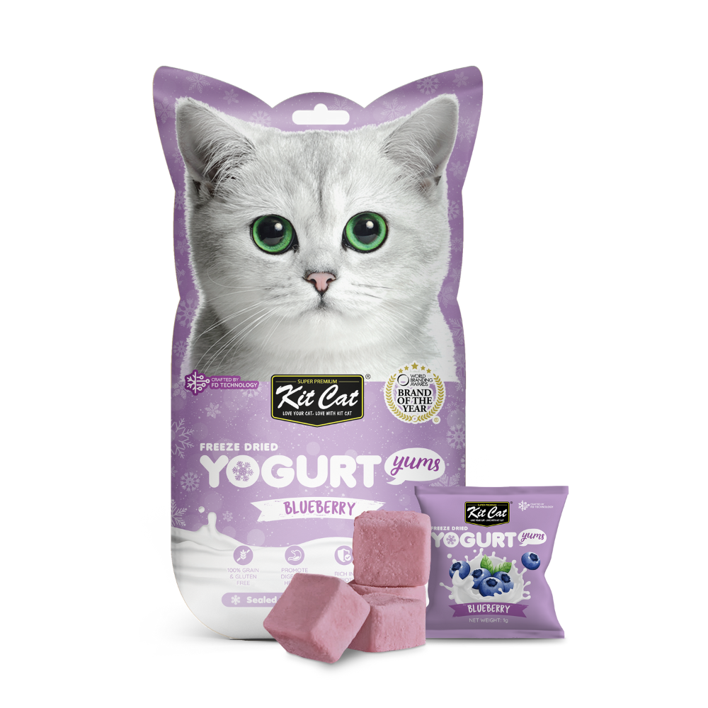 Yogurt Yums Ar¨¢ndano 10g - Snack Liofilizado Imagen principal del producto