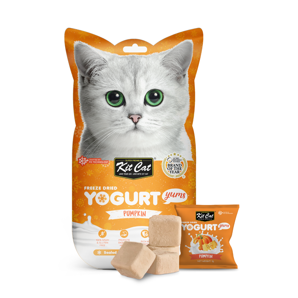 Yogurt Yums Calabaza 10g - Snack Liofilizado Imagen principal del producto
