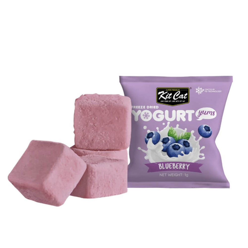 Yogurt Yums Arándano 10g - Snack Liofilizado Imagen secundaria del producto