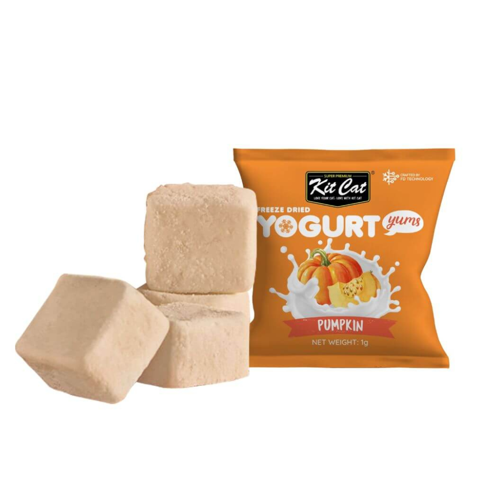 Yogurt Yums Calabaza 10g - Snack Liofilizado Imagen secundaria del producto