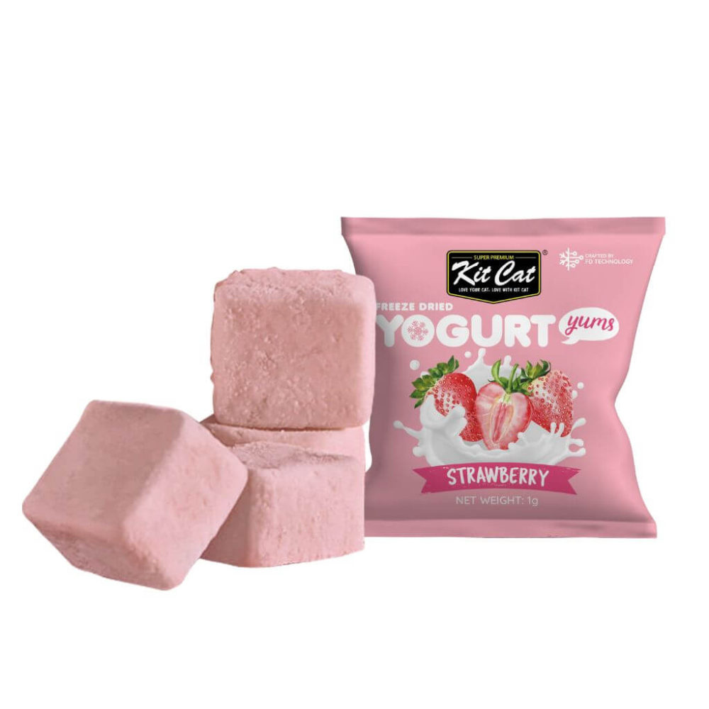Yogurt Yums Fresa 10g - Snack Liofilizado Imagen secundaria del producto