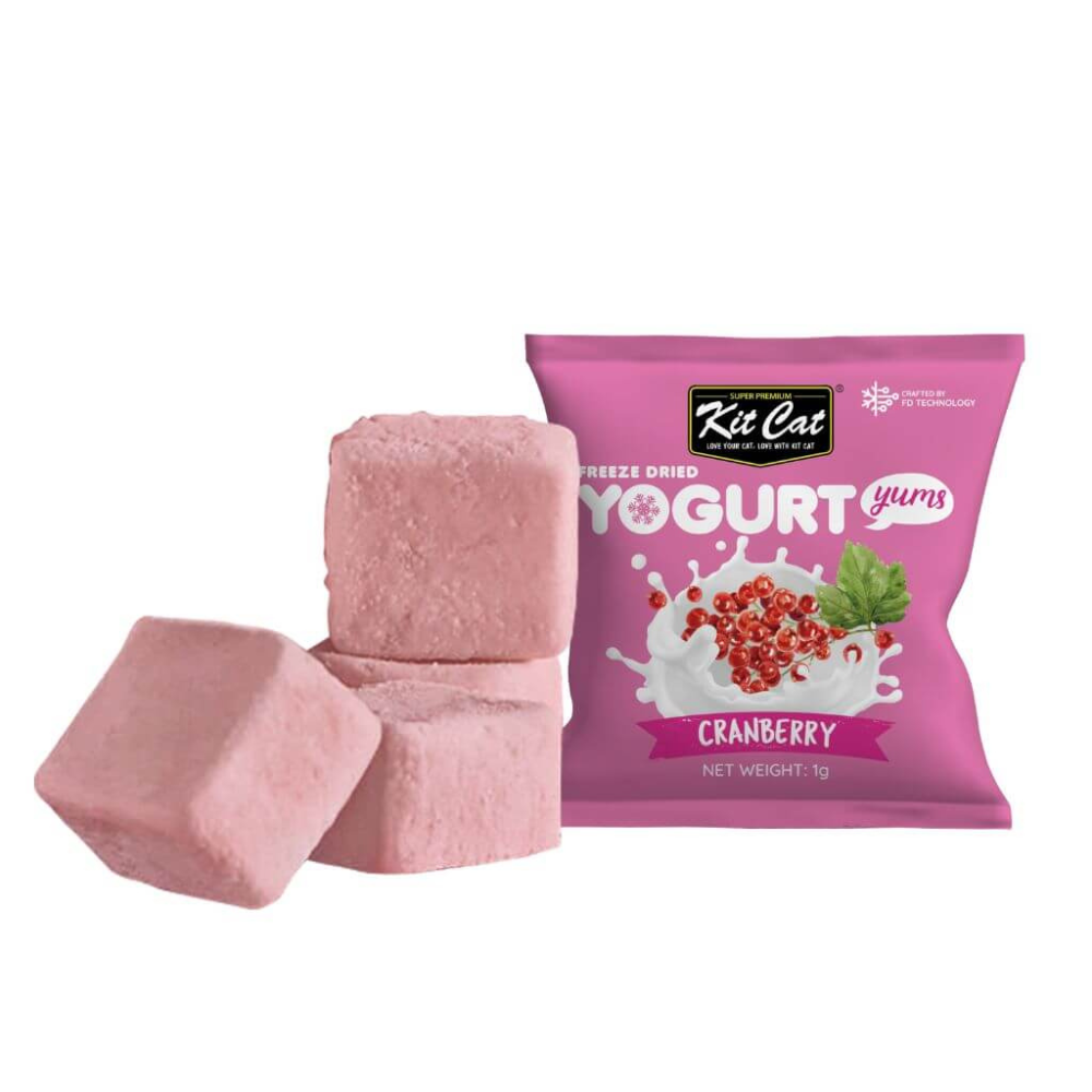 Yogurt Yums Arándano 10g - Snack Liofilizado Imagen secundaria del producto