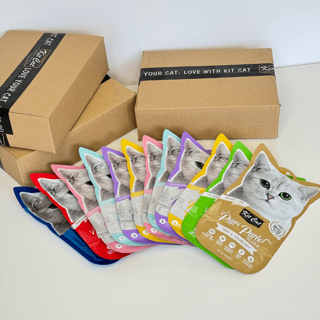 Pack PurrPuree (12 uds)