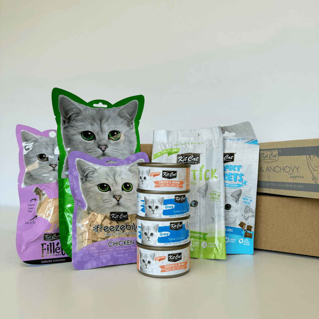 Pack Degustaci¨®n (9 uds)