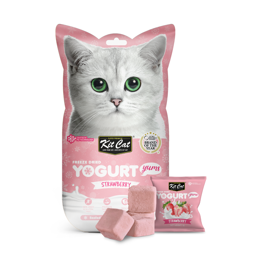 Yogurt Yums Fresa 10g - Snack Liofilizado Imagen principal del producto