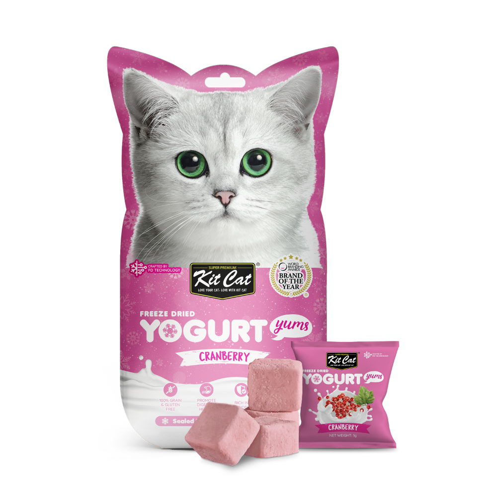 Yogurt Yums Ar¨¢ndano Rojo 10g - Snack Liofilizado Imagen principal del producto