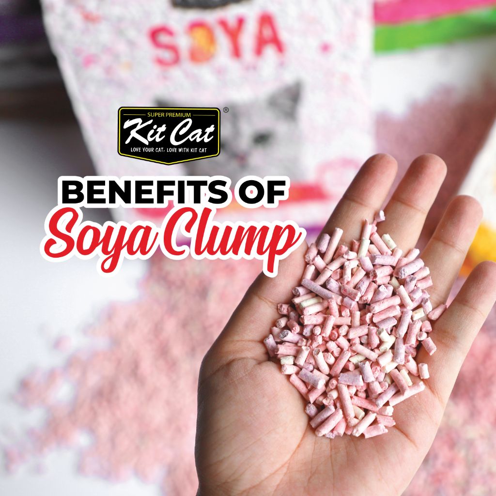 SoyaClump Arena de Soja BIO - Confetti 7L