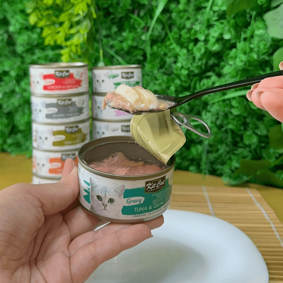 Tuna with Quail Egg 70g - Wet Food in Sauce Imagen secundaria del producto