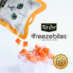 FreezeBites Salm¨®n 15g - Snack Liofilizado