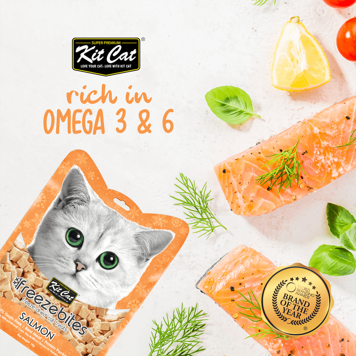 FreezeBites Salmón 15g - Snack Liofilizado Imagen secundaria del producto