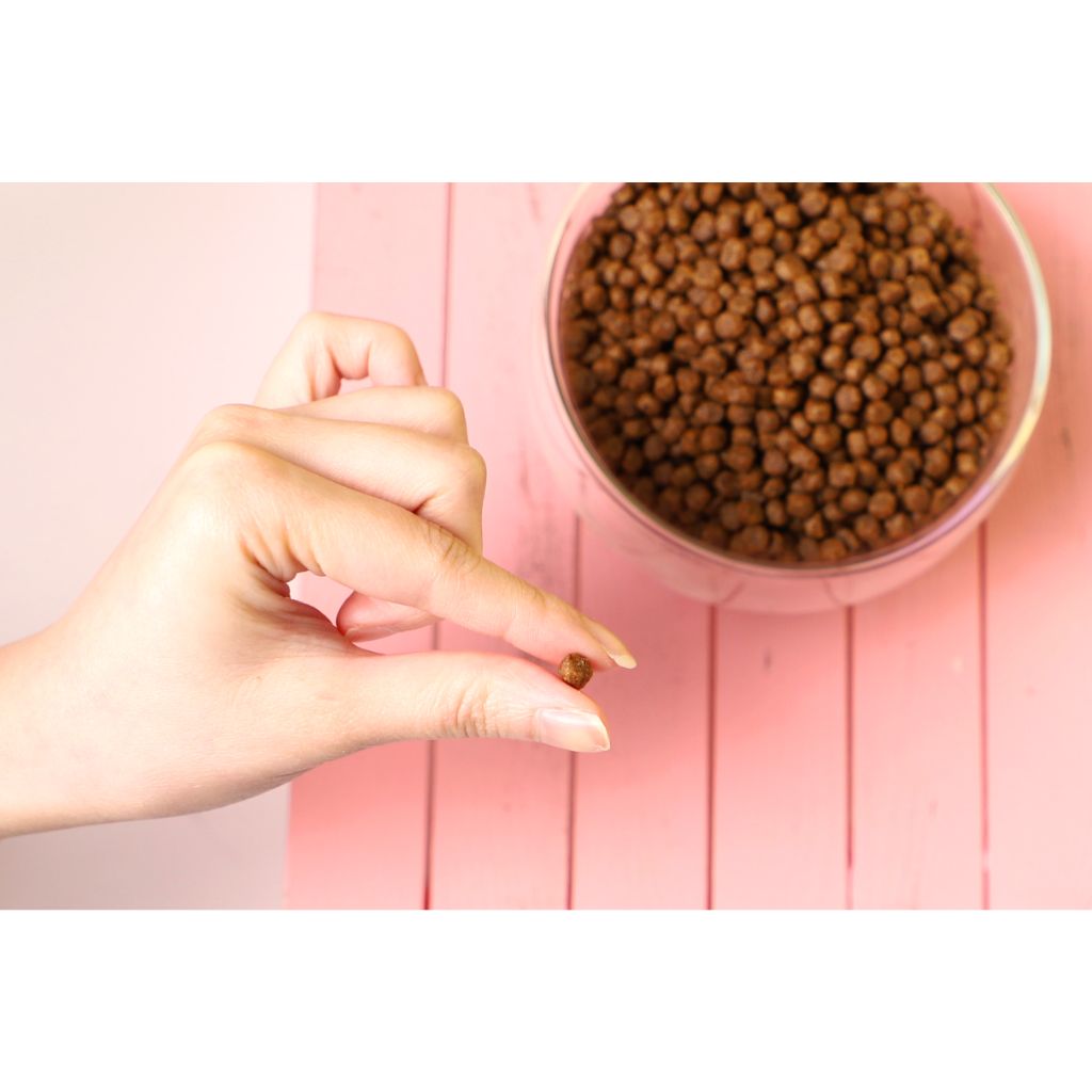 Atún y Salmón Sin Cereales - Pienso para gatos 1KG - Soporte Piel y Pelaje Imagen secundaria del producto