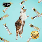 PurrPuree Value Pack - Pollo y Salm¨®n (40 sobres x 15g)