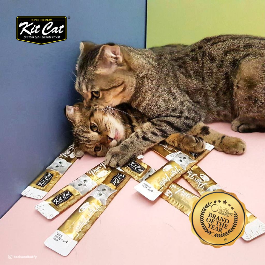 PurrPuree Value Pack - Pollo y Salm¨®n (40 sobres x 15g)