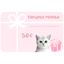 Tarjeta regalo Kit Cat 50€