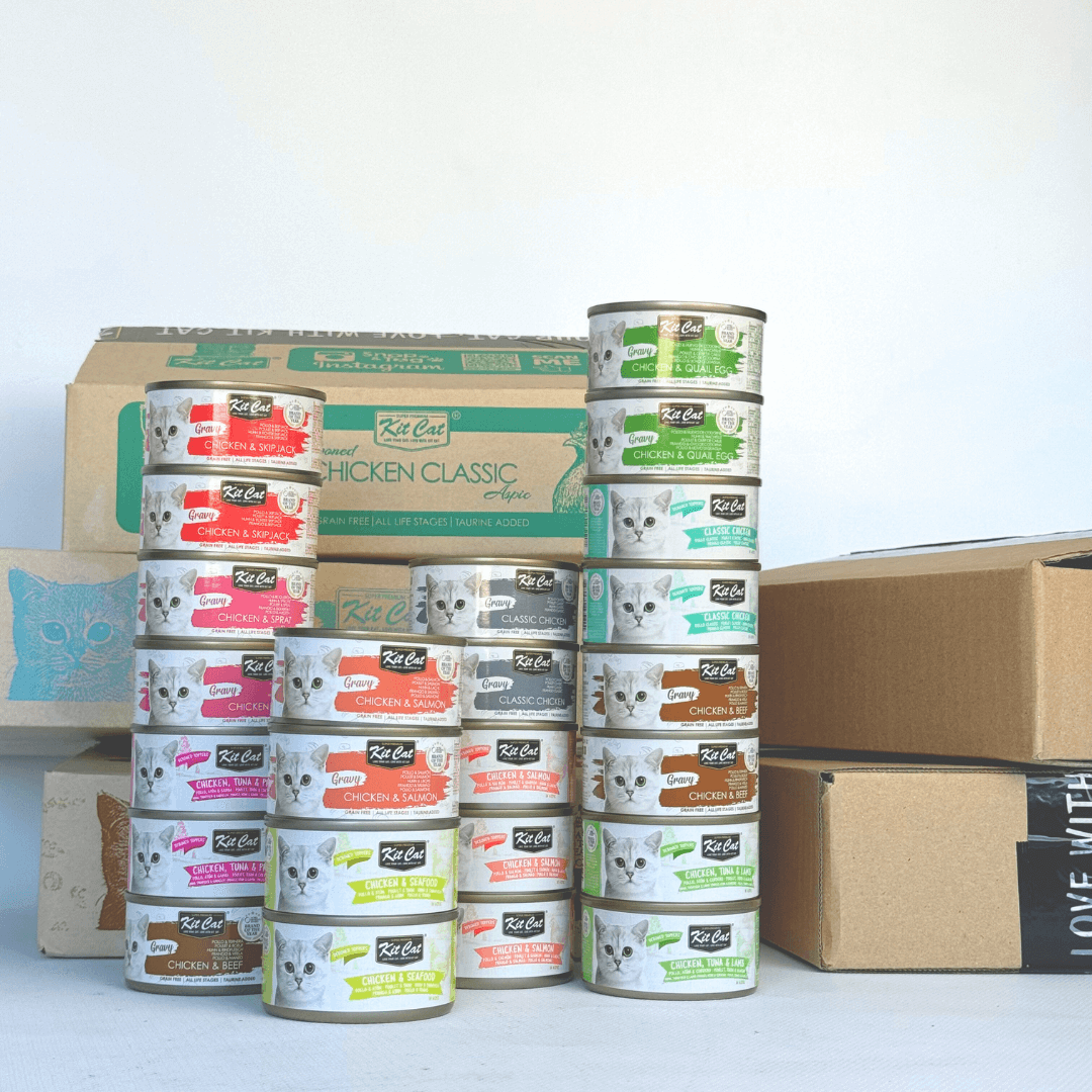 Pack de Comida H¨²meda - Pollo (24 uds) Imagen principal del producto
