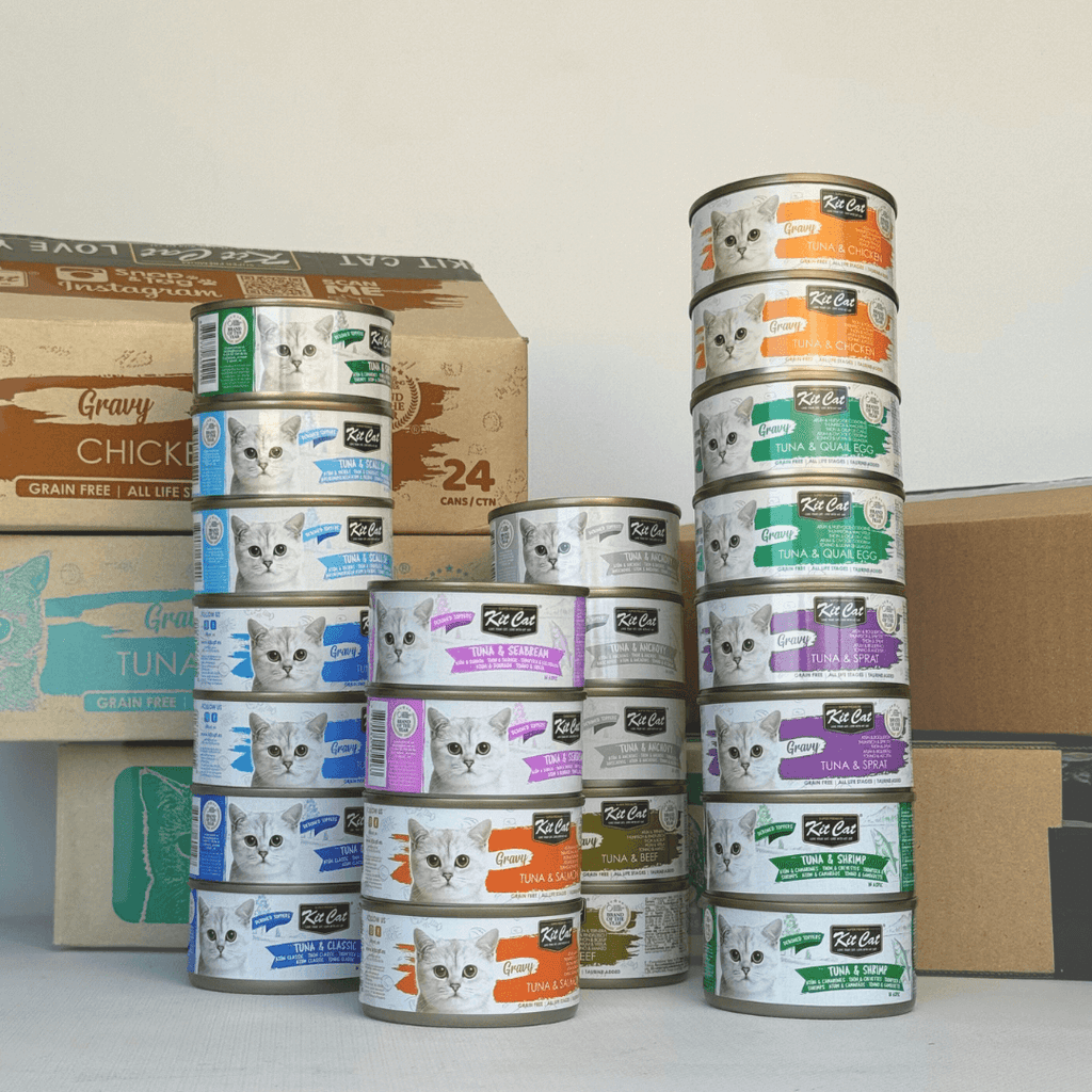 Pack de Comida H¨²meda - At¨²n (24 uds)