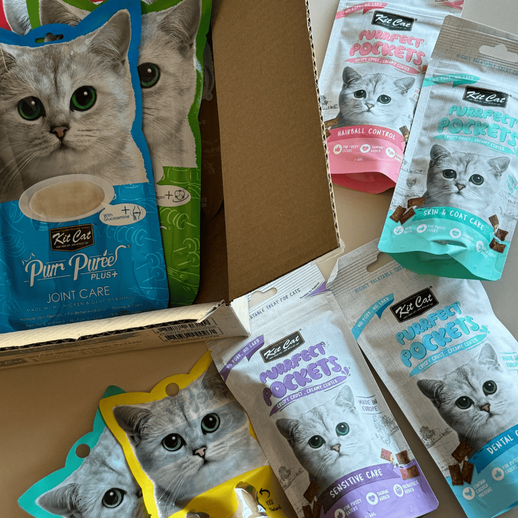 Pack Snacks Funcionales