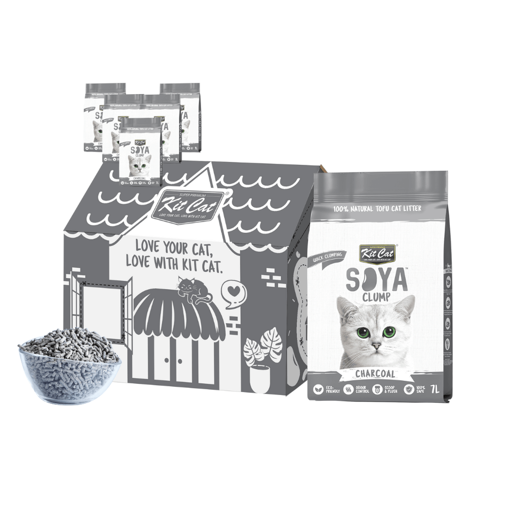 SoyaClump Arena de Soja BIO - Charcoal 7L