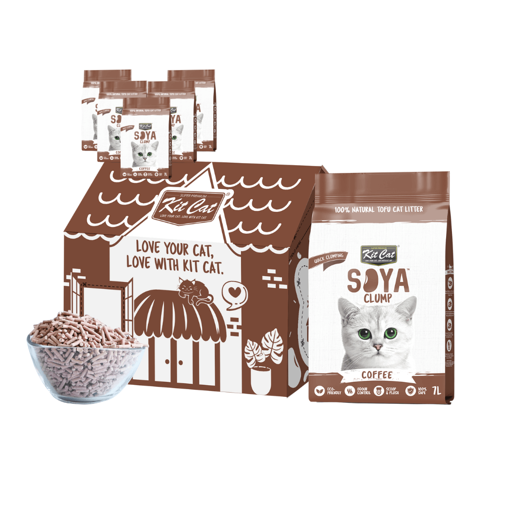 SoyaClump Arena de Soja BIO - Natural 7L (color Caf¨¦)